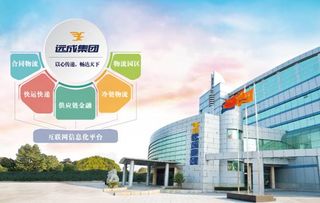 新市場(chǎng)環(huán)境下如何變革發(fā)展 遠(yuǎn)成集團(tuán)是這么干的